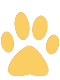 animal paw