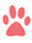 dog paw