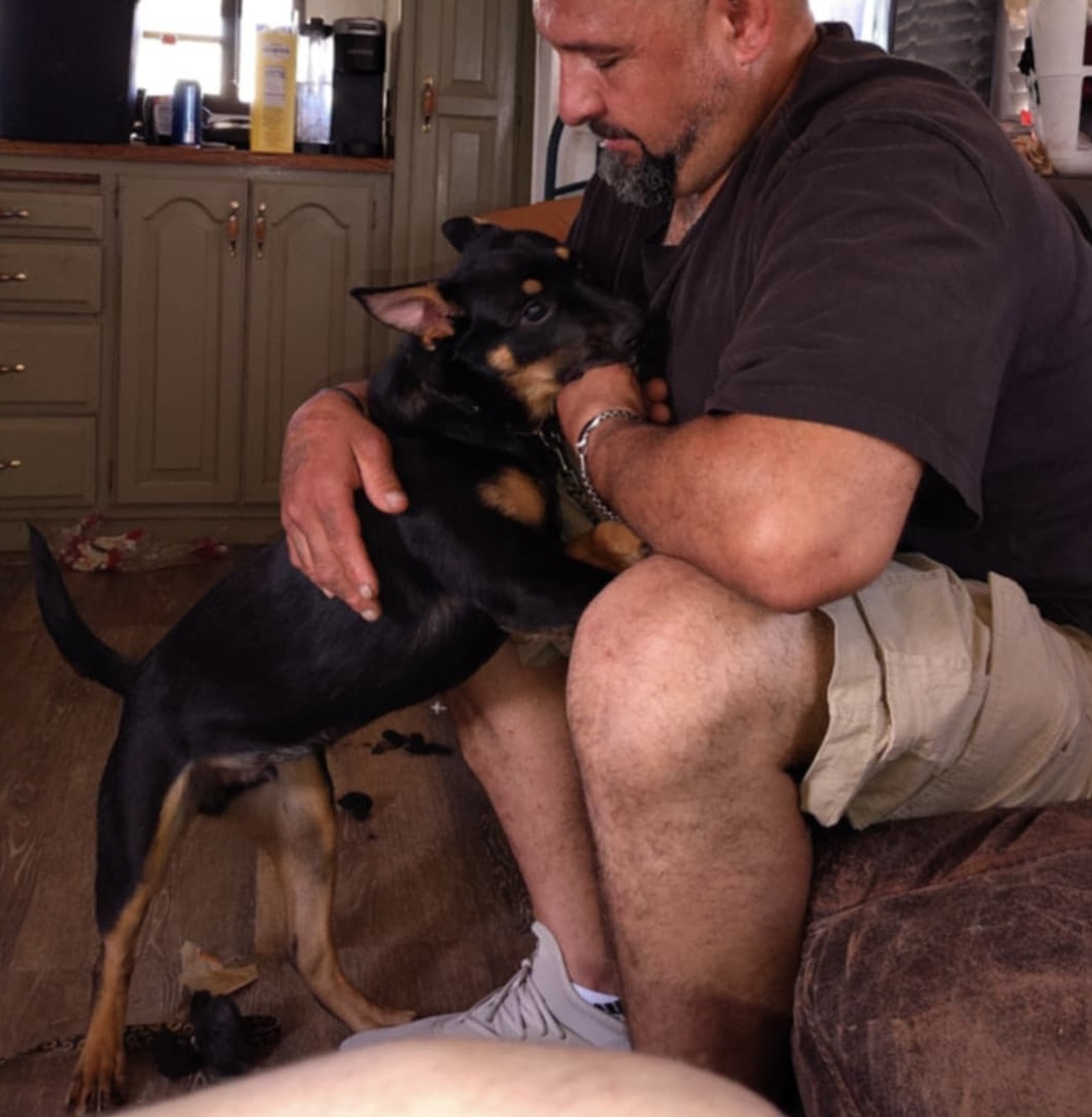 Pet photo