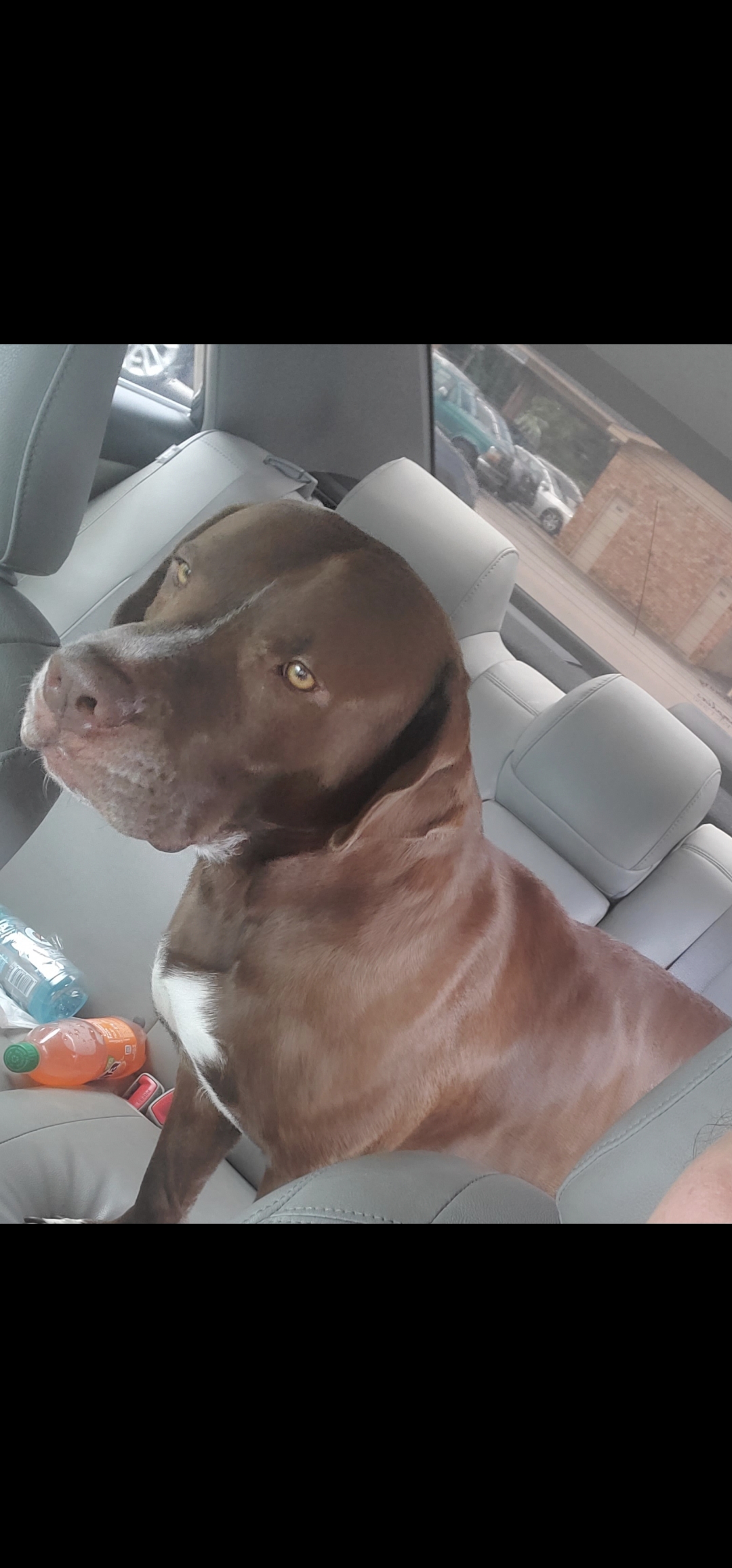 Kilo