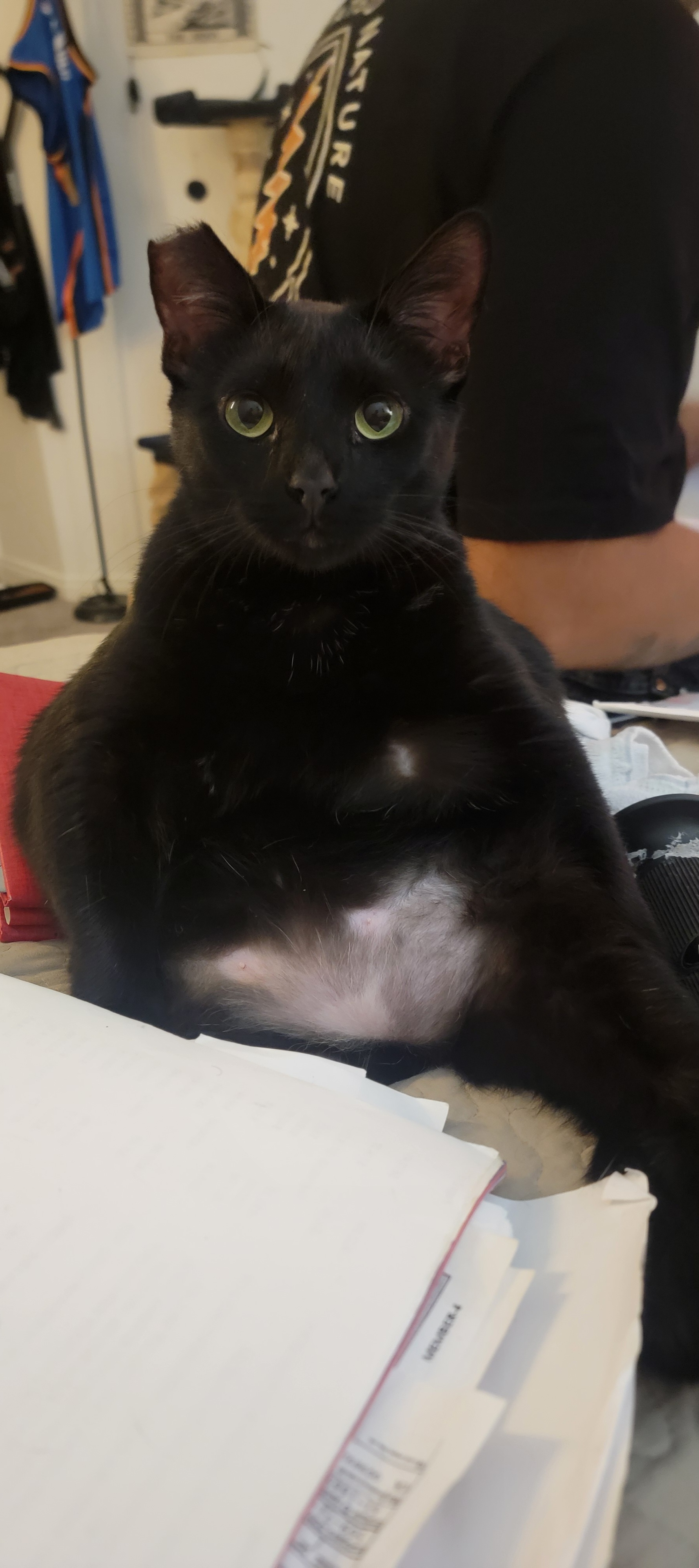 Pet photo