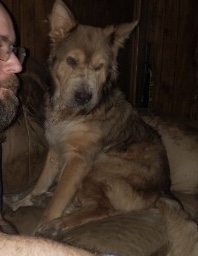 Pet photo