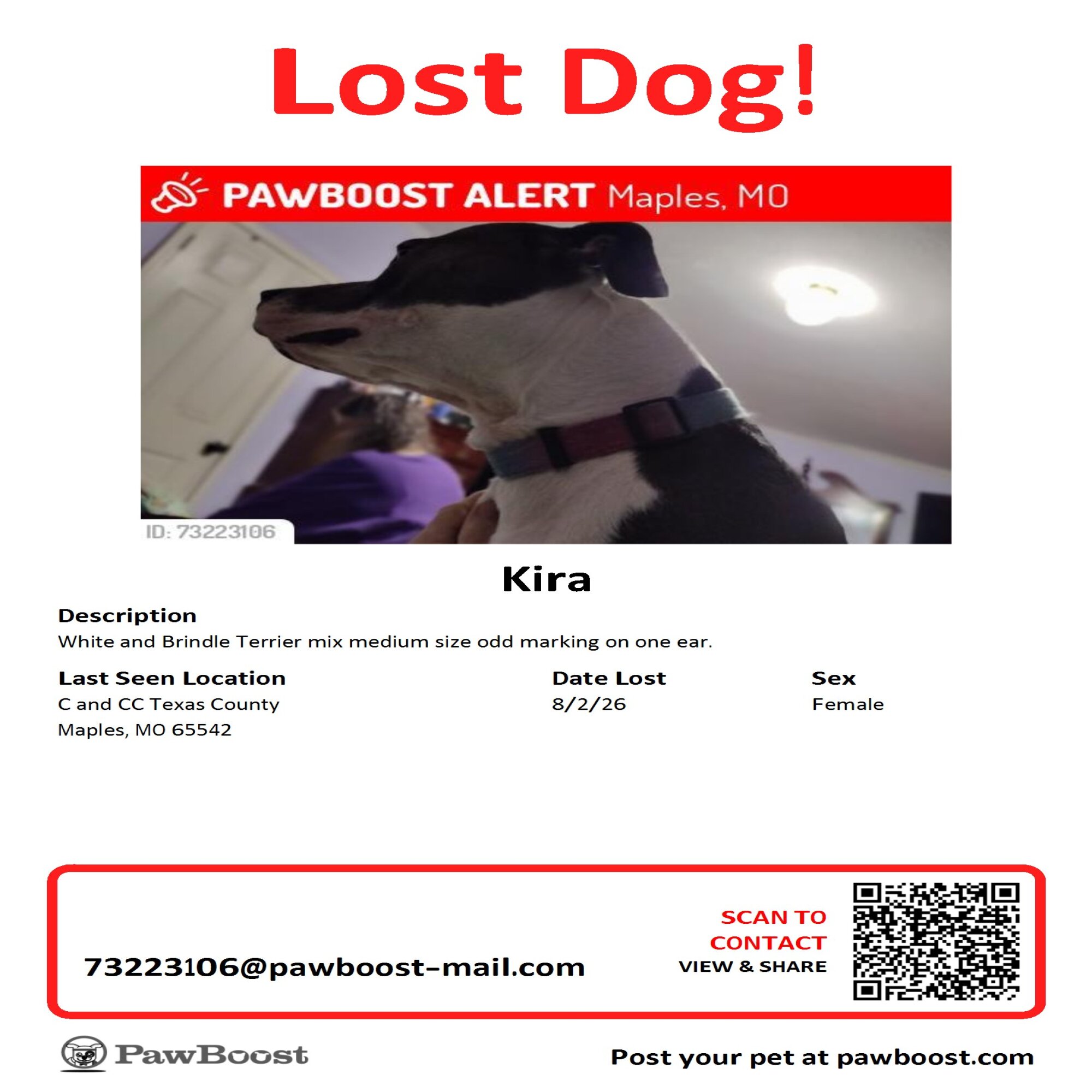 Lost Dog in Maples, MO