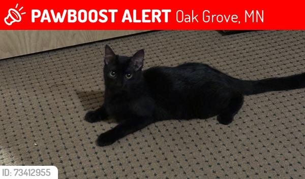 Lost pet Salem