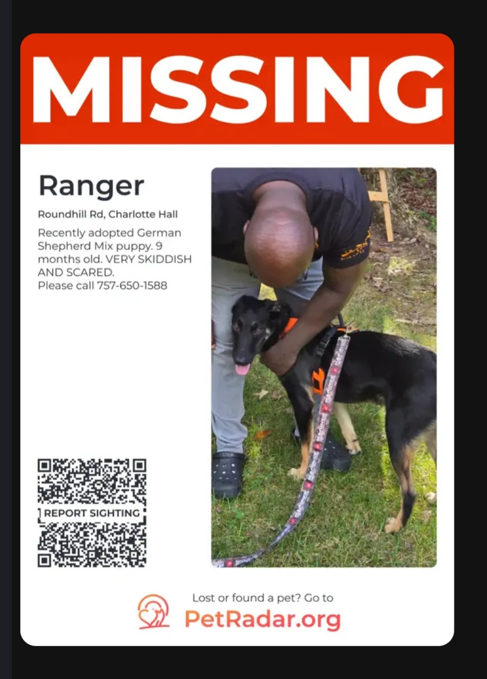 Ranger -just named him