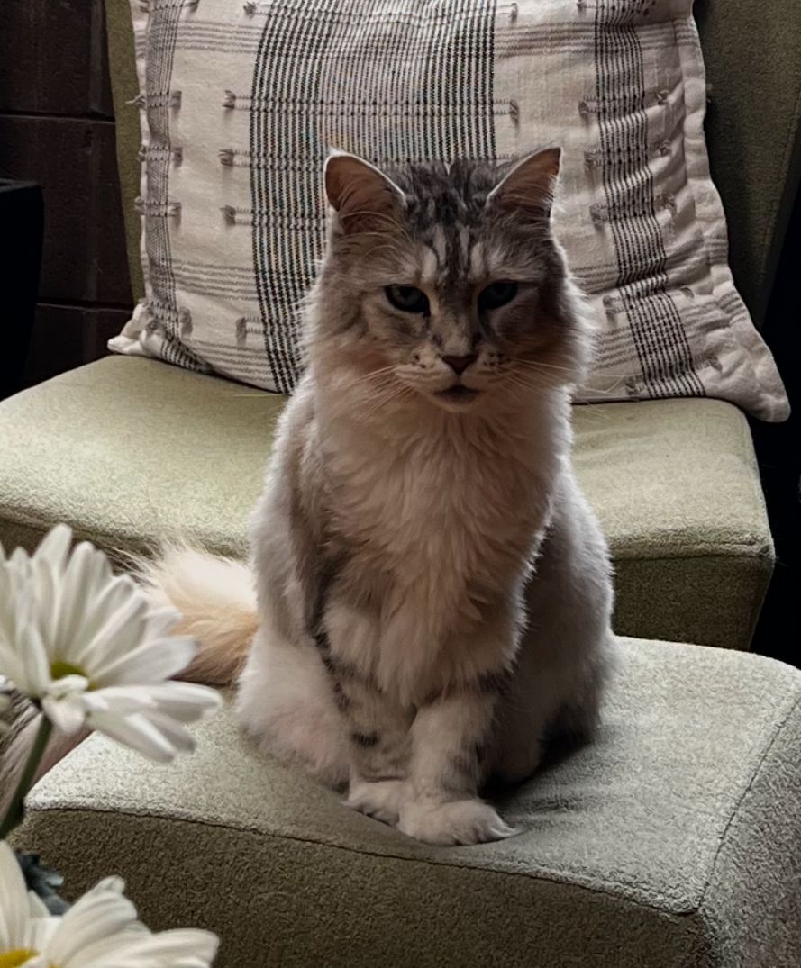 Hermaine