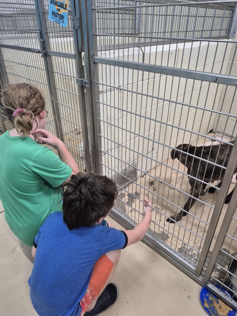 Tuscaloosa Metro Animal Shelter