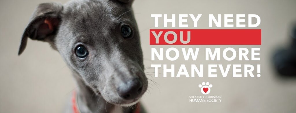Greater Birmingham Humane Society