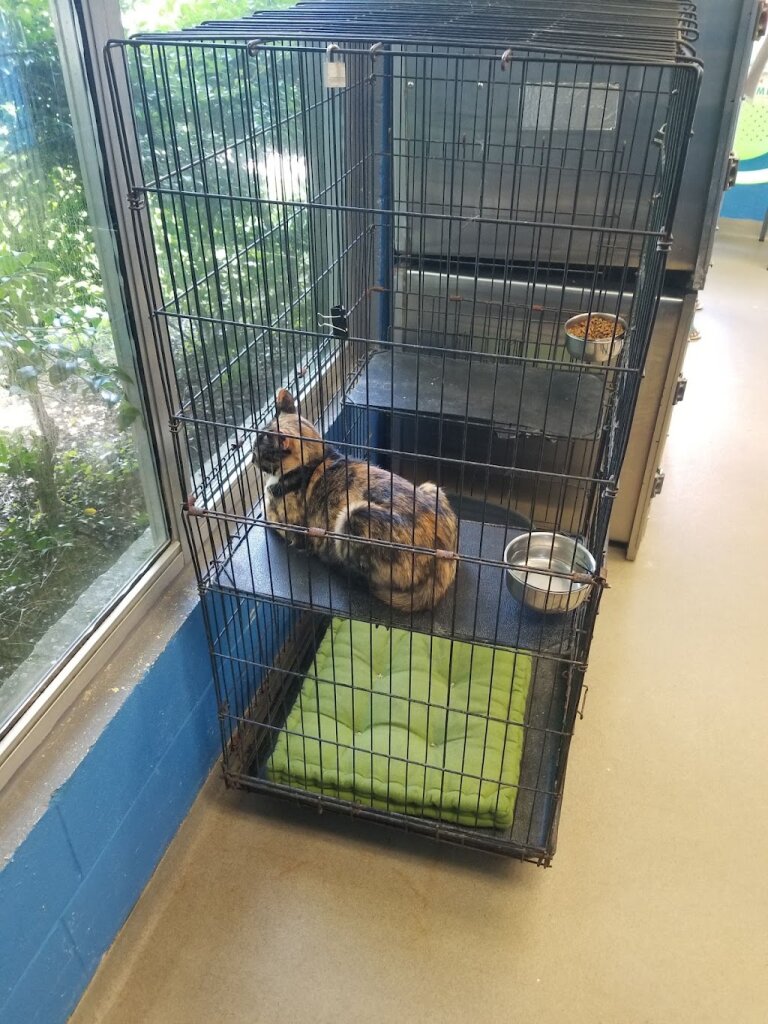 Wiregrass Humane Society