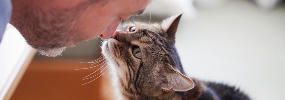 Humane Society of Boulder Valley