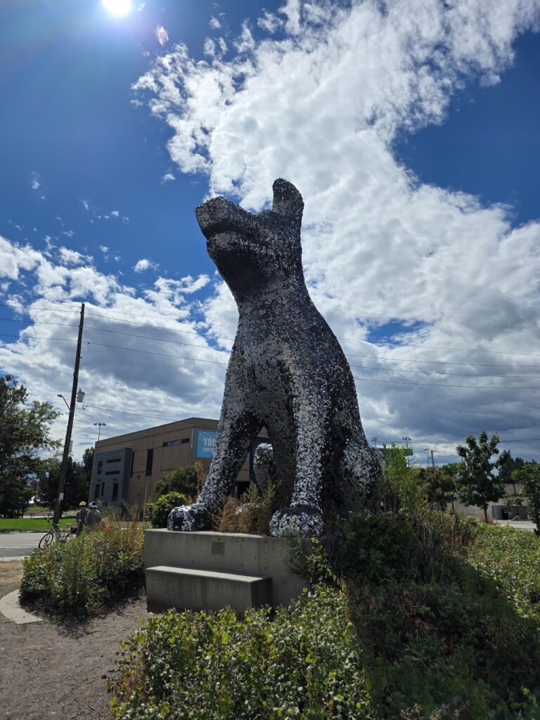 Denver Animal Shelter