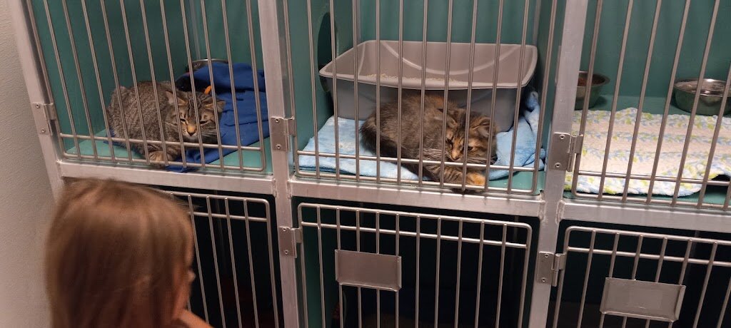 Twin Falls Humane Society