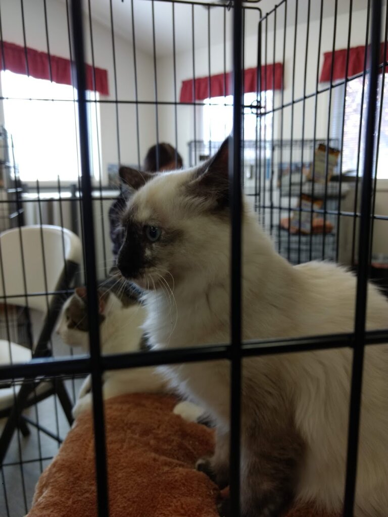 Bannock Humane Society
