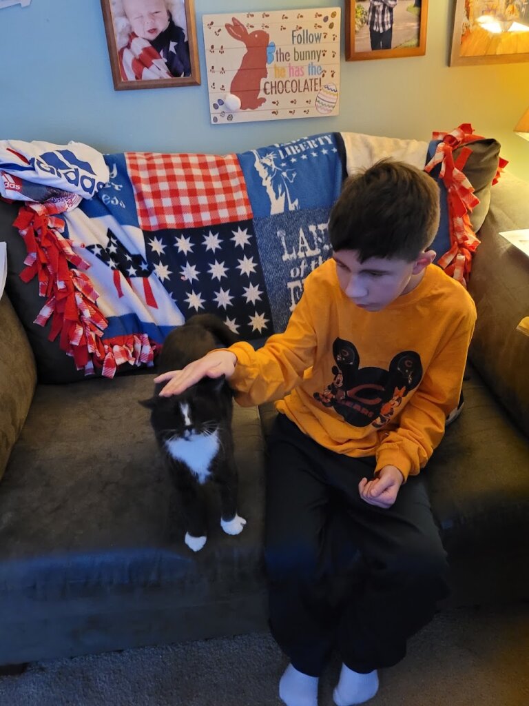 Anderson Humane - Adoption Center