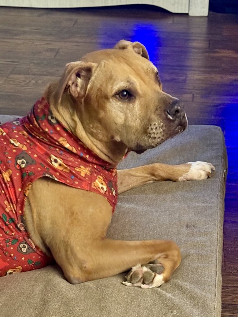 Humane Society of Elkhart County