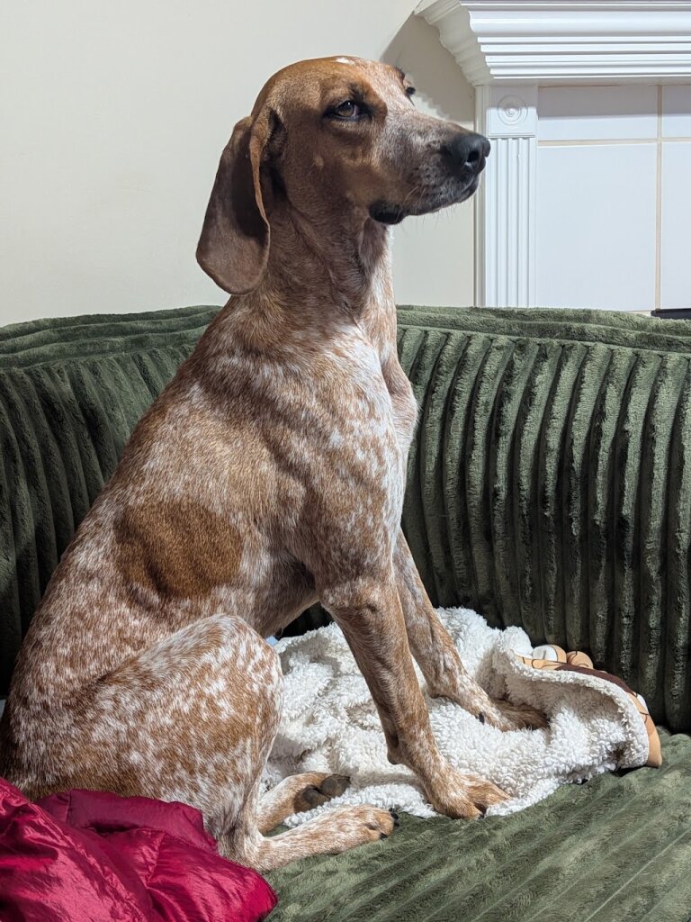 Bowling Green/Warren County Humane Society