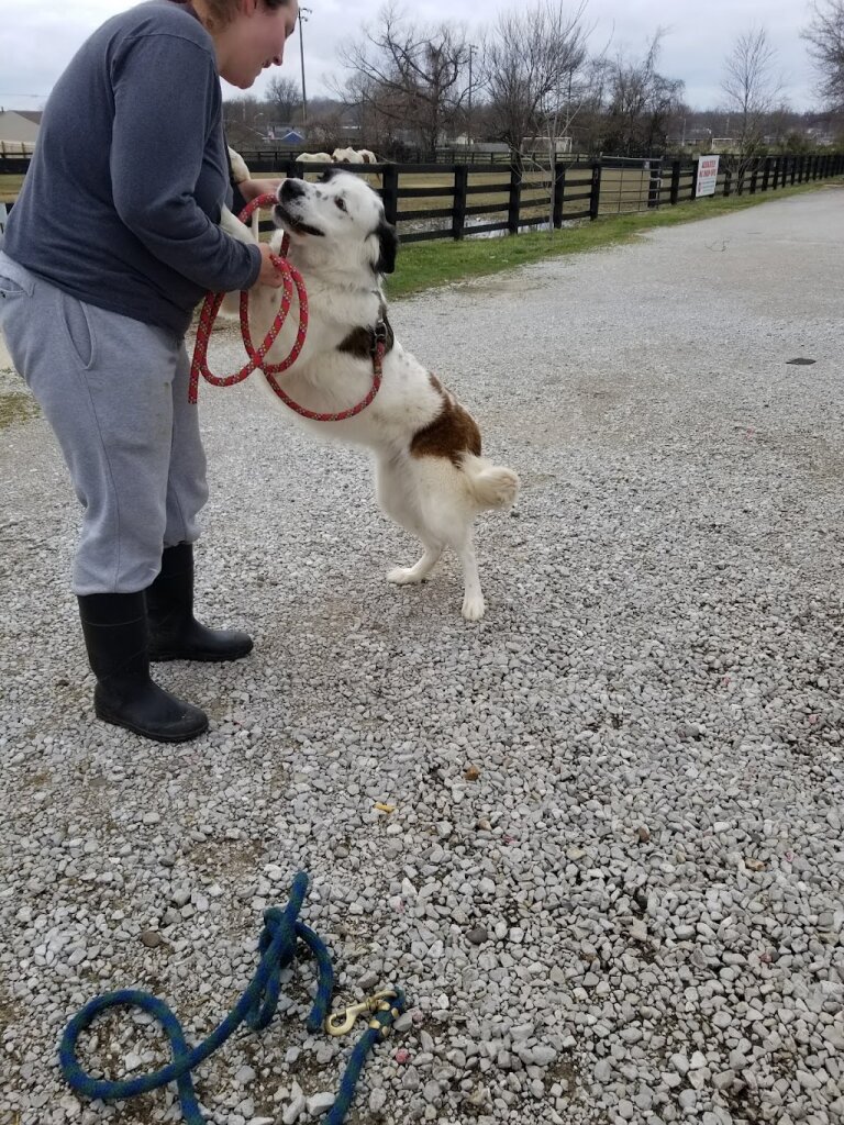 Owensboro Humane Society
