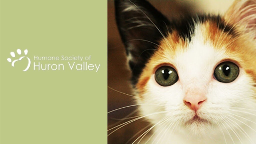 Humane Society of Huron Valley