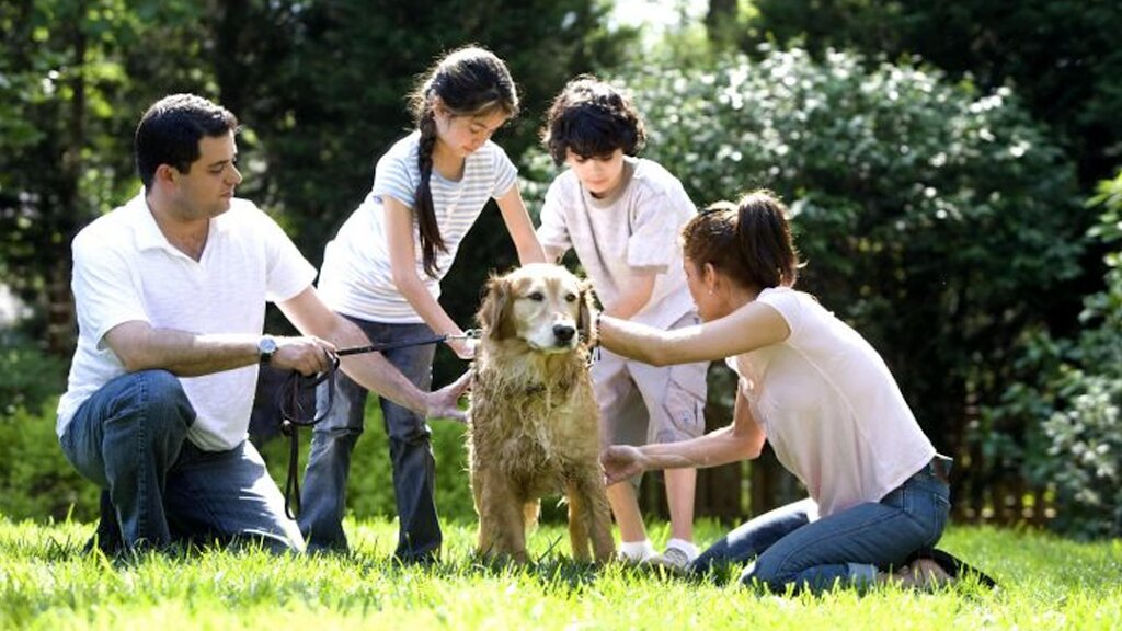 Jackson County Animal Shelter