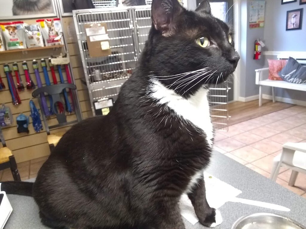Humane Society of Eastern Carolina