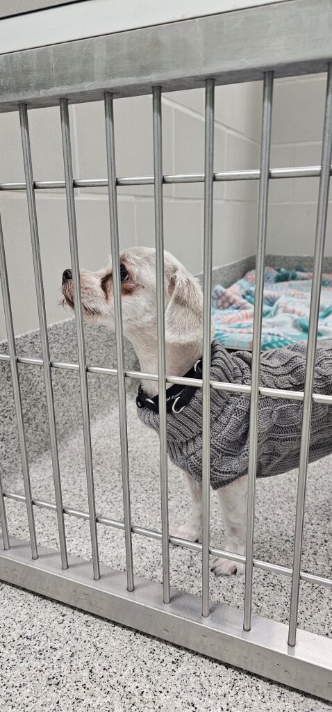 Nebraska Humane Society