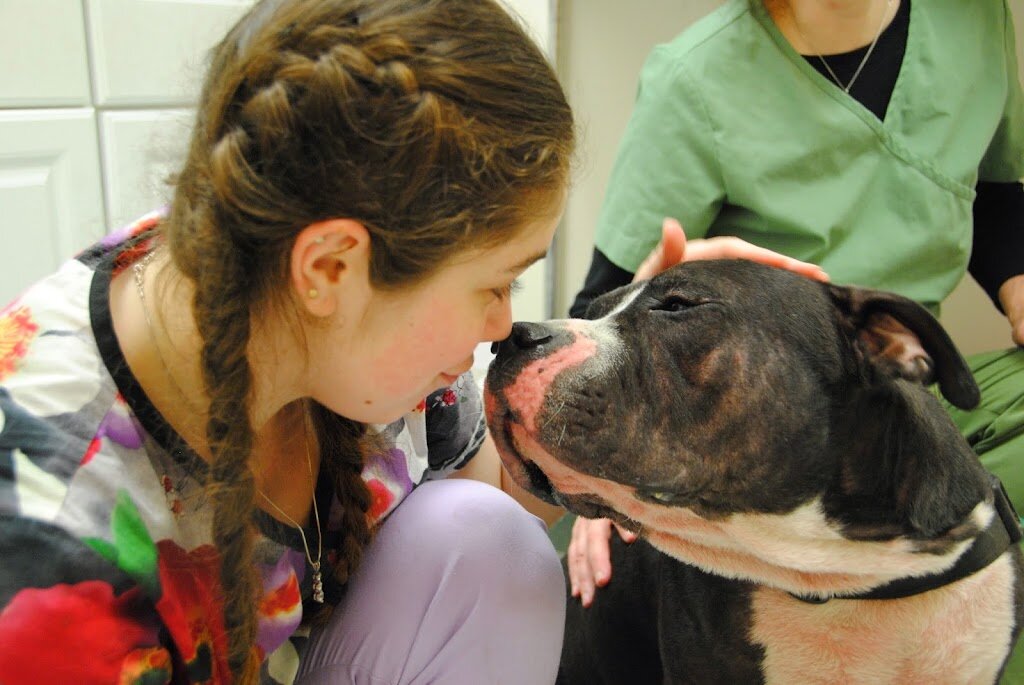 PAWS Adoption Center