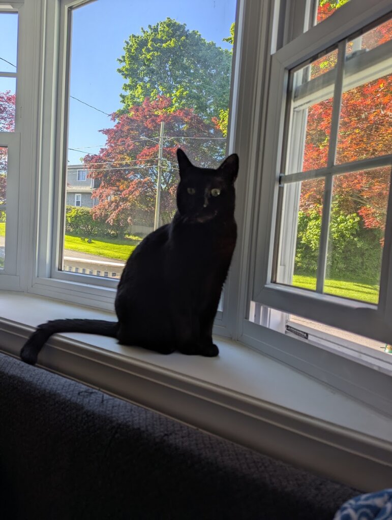 Providence Animal Shelter