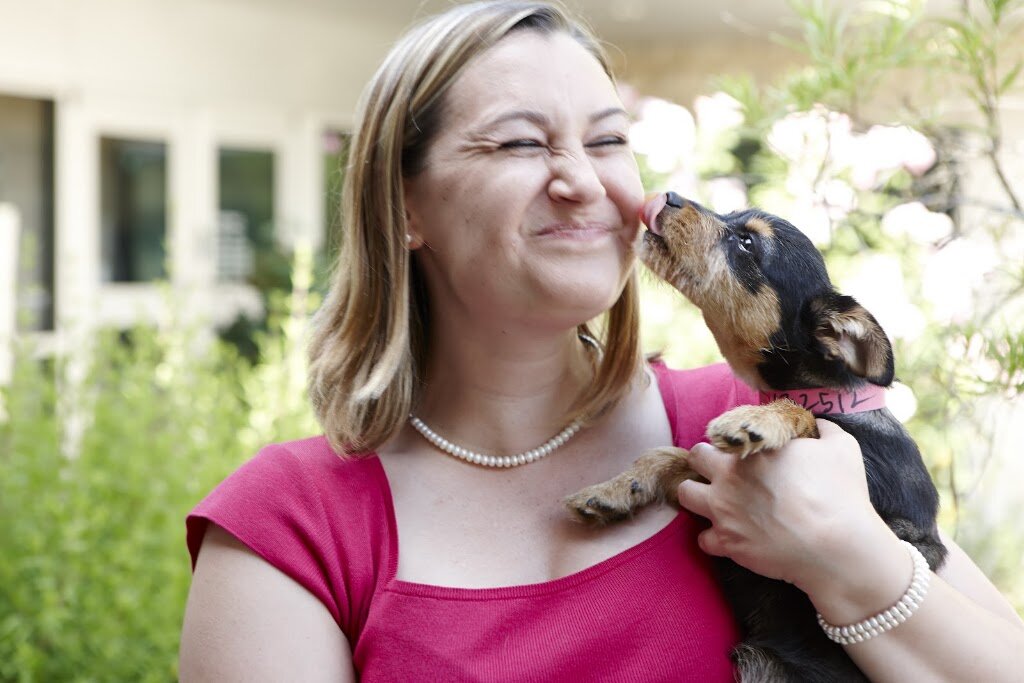 Grand Prairie Animal Services and Adoption Center