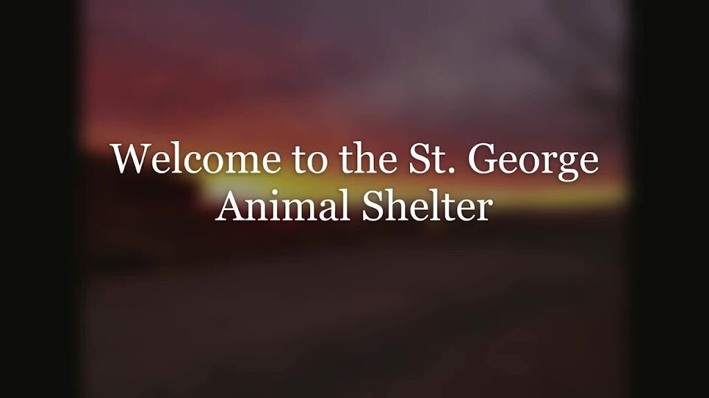 St. George Animal Services and Animal Shelter By appointment only
