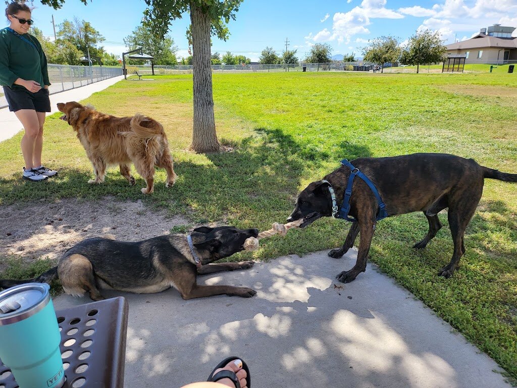 West Jordan Animal Shelter