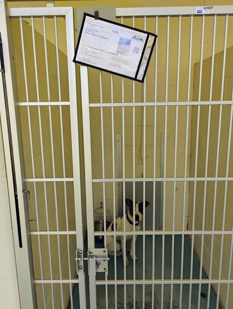Portsmouth Humane Society