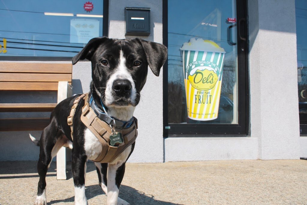 EGAPL Heart of RI Animal Rescue League