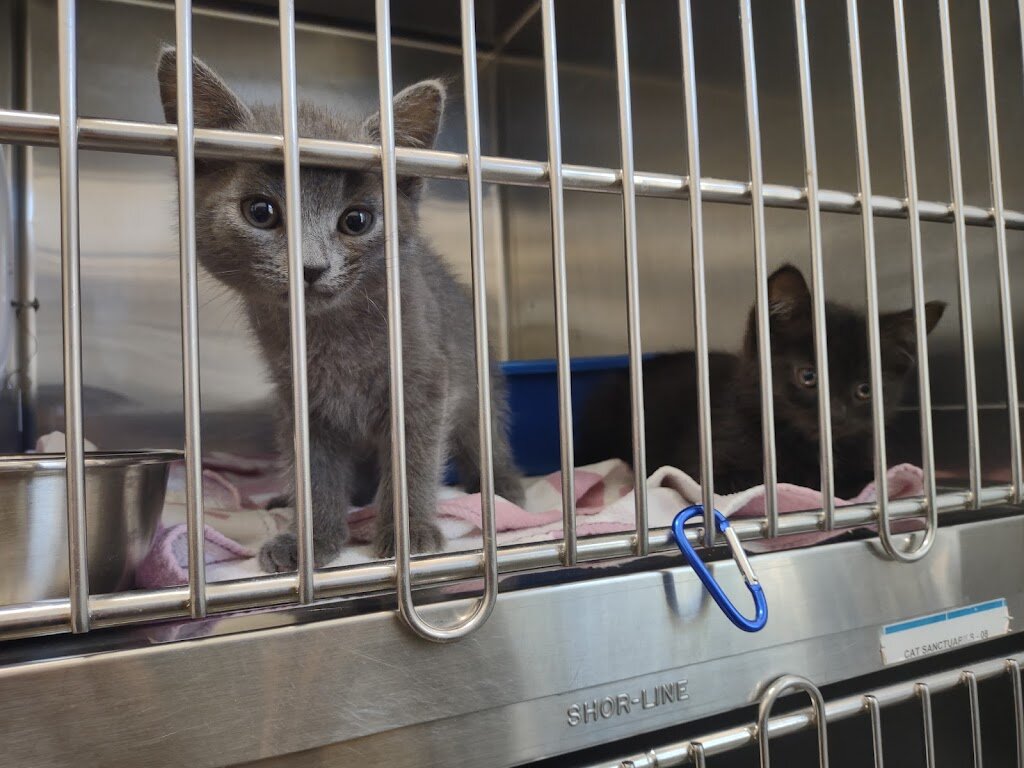 Westerly Animal Shelter