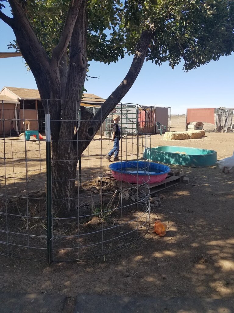 Circle L Ranch Animal Rescue And Sanctuary