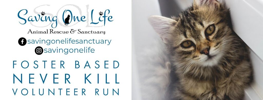 Saving One Life Animal Rescue and Sanctuary