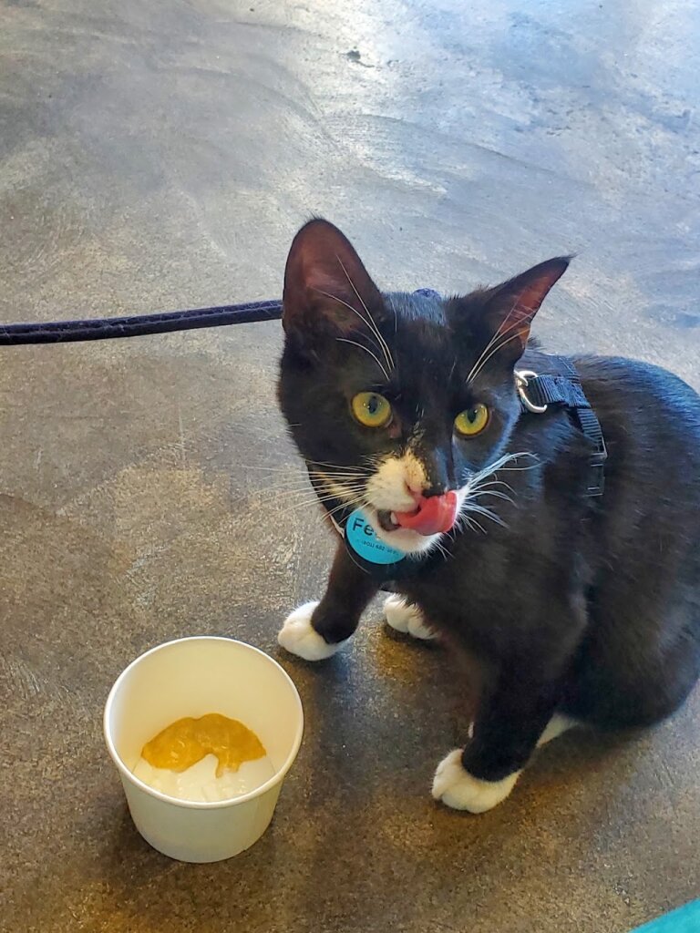 Rexburg Animal Shelter