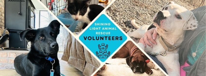 Shining Light Animal Rescue