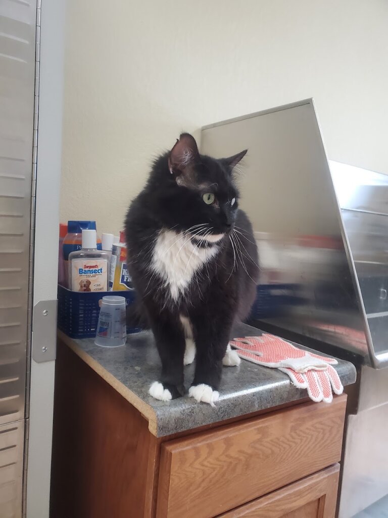 Schuyler County Humane Society