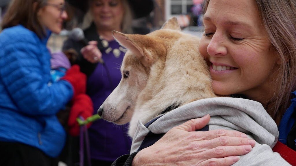 A.R.F.-Animal Rescue Foundation