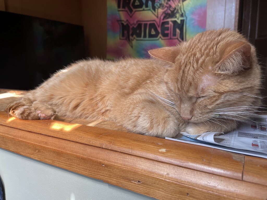 Bluffton Animal Shelter