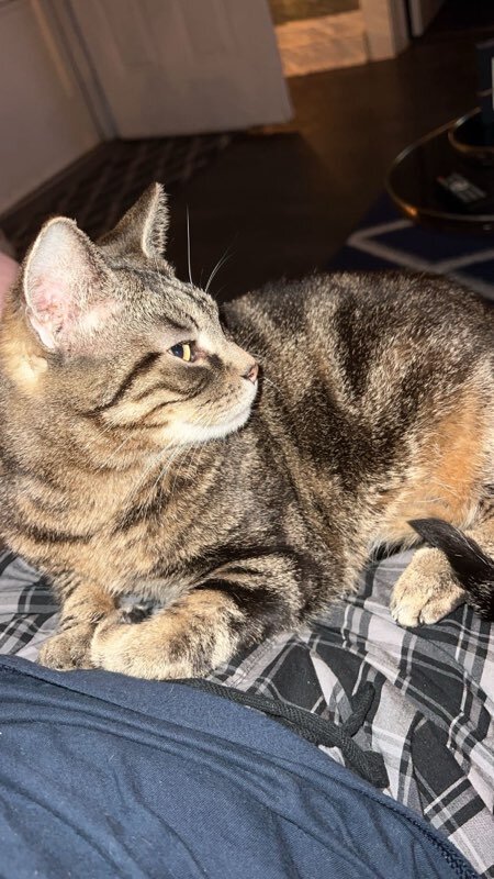 Rivers Edge Animal Shelter