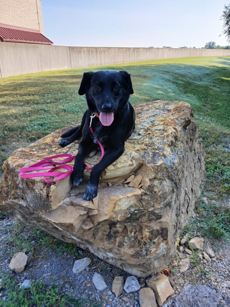 S.E.K. Humane Society