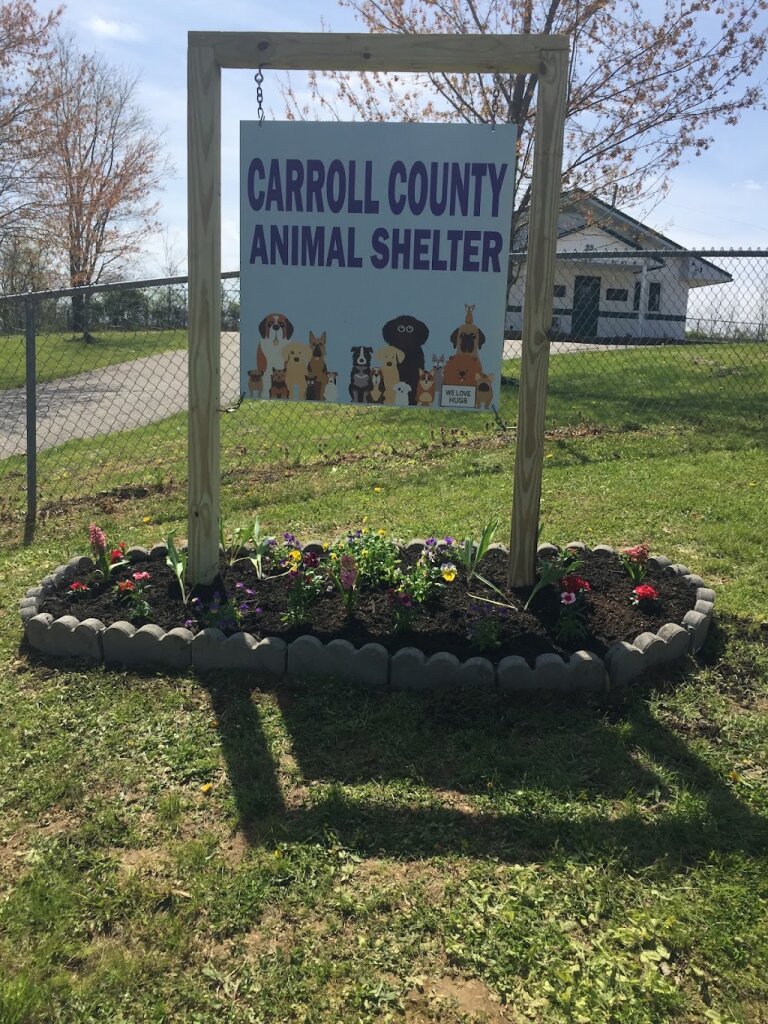 Carroll County Ky. Animal Shelter