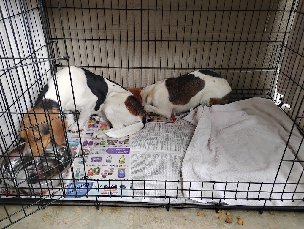 Kentucky River Animal Shelter