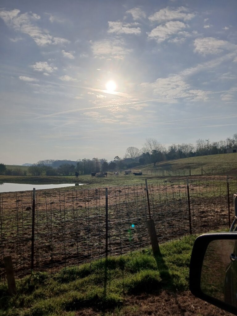 4Them Sanctuary animal shelter in Sweetwater, TN