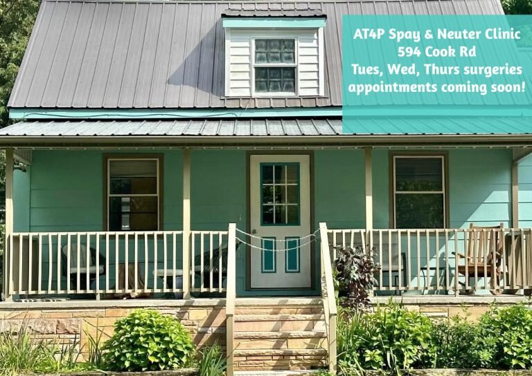 A Time 4 Paws Animal Adoption Center animal shelter in Crossville, TN