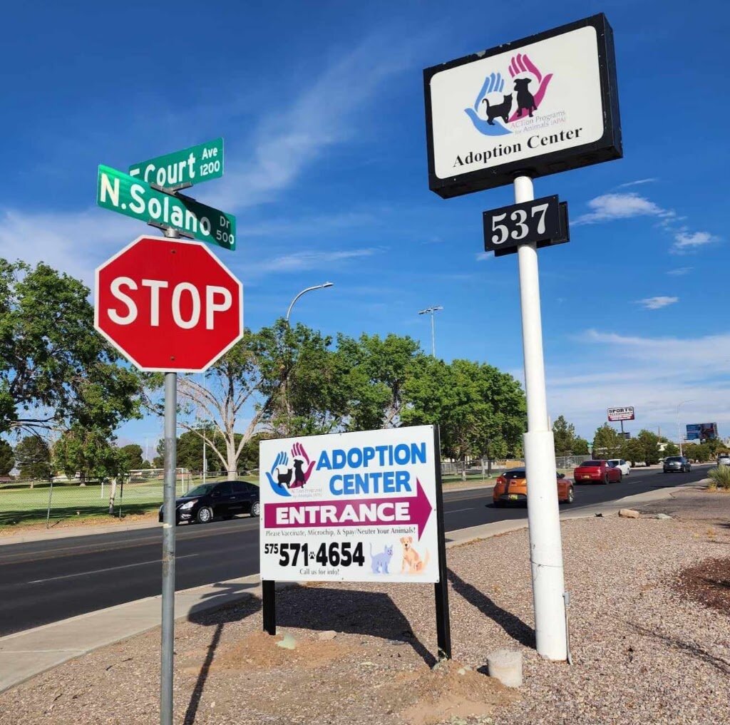 ACTion Programs for Animals Adoption Center animal shelter in Las Cruces, NM