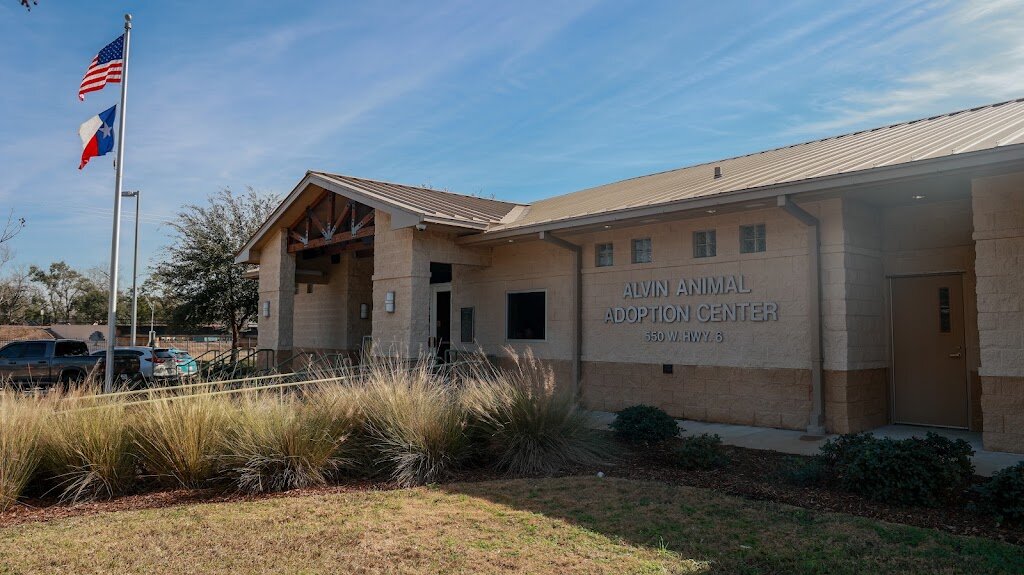 Alvin Animal Adoption Center animal shelter in Alvin, TX