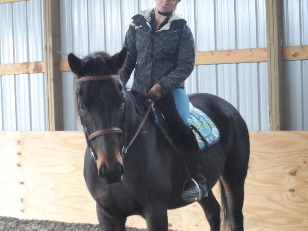 Amazing Grace Equine Sanctuary animal shelter in Elkhart Lake, WI