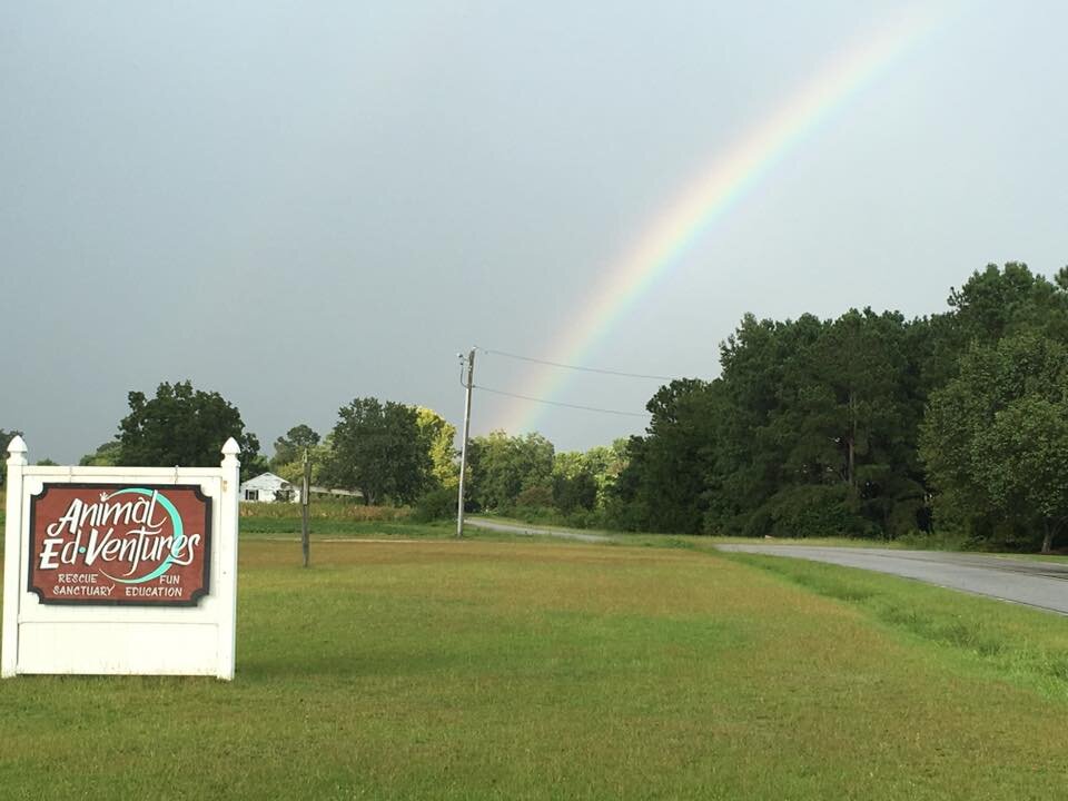 Animal Ed.ventures Sanctuary: Earth-Speak Park animal shelter in Coats, NC